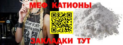 прущие грибы Будённовск