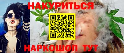 прущие грибы Будённовск