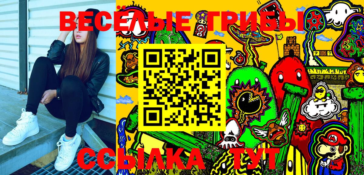 Галлюциногенные грибы Psilocybe Сегежа